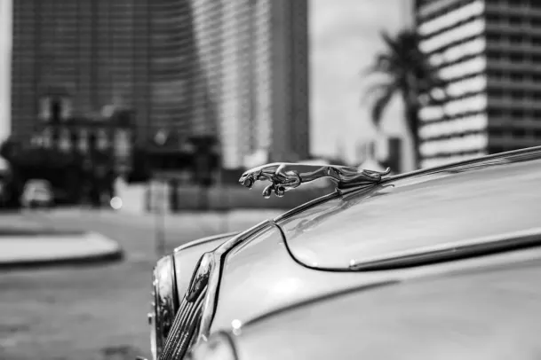 Casino Loony Bingo Android/iOS-app